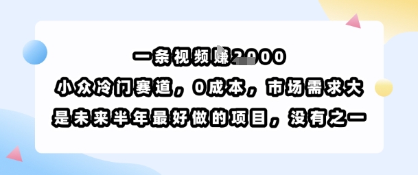 一条视频挣1k，小众冷门赛道，0成本，市场需求大，是未来半年最好做的项目，没有之一 - 宏盛创业网-宏盛创业网