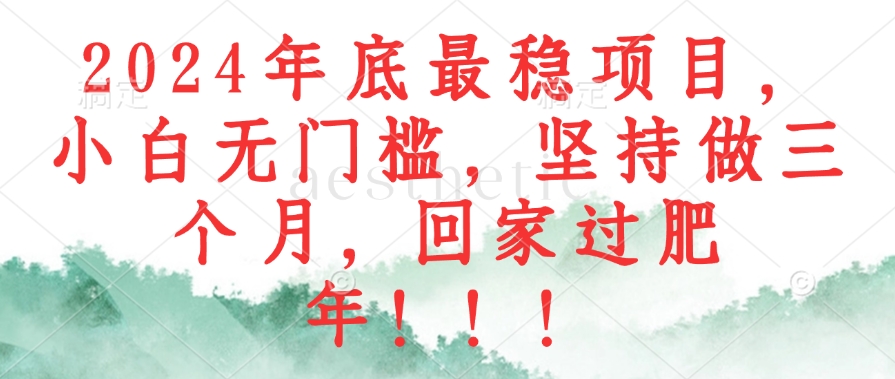 2024年底最稳项目，小白无门槛，坚持做三个月，回家过肥年！！！ - 宏盛创业网-宏盛创业网
