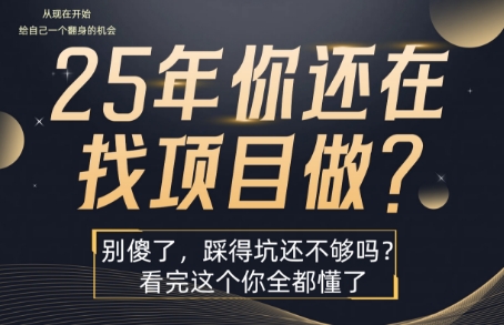 25年，你还在疯狂的找项目吗？别傻了，看完这个你都懂了【揭秘】 - 宏盛创业网-宏盛创业网