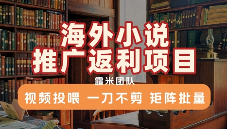 海外小说推广返利项目，视频投喂， 一刀不剪，矩阵批量 - 宏盛创业网-宏盛创业网