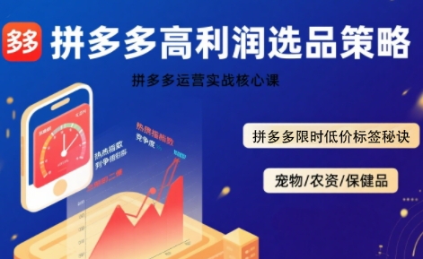 拼多多选品暴利技术实战课，拼多多高利润选品策略，拼多多限时低价标签秘诀 - 宏盛创业网-宏盛创业网