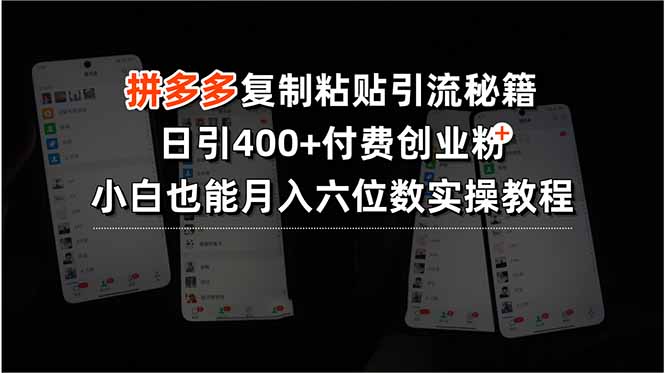 拼多多复制粘贴引流秘籍，日引400+付费创业粉，小白也能月入六位数实操... - 宏盛创业网-宏盛创业网