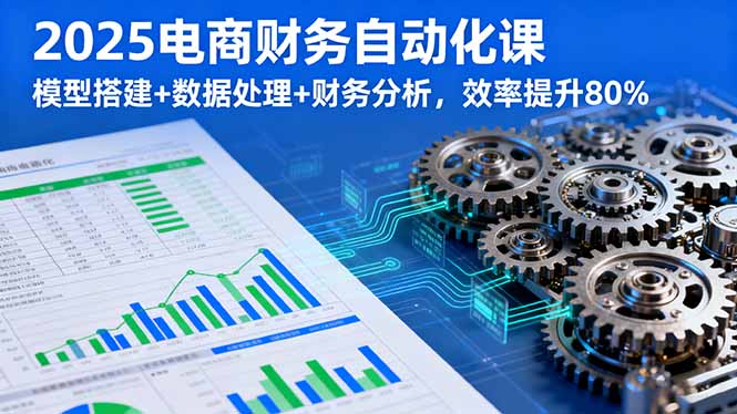 2025电商财务自动化课，模型搭建+数据处理+财务分析，效率提升80% - 宏盛创业网-宏盛创业网