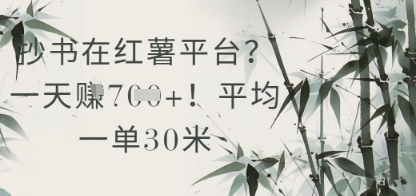 抄书在小红薯平台？平均一单30米，一天收益几张！ - 宏盛创业网-宏盛创业网