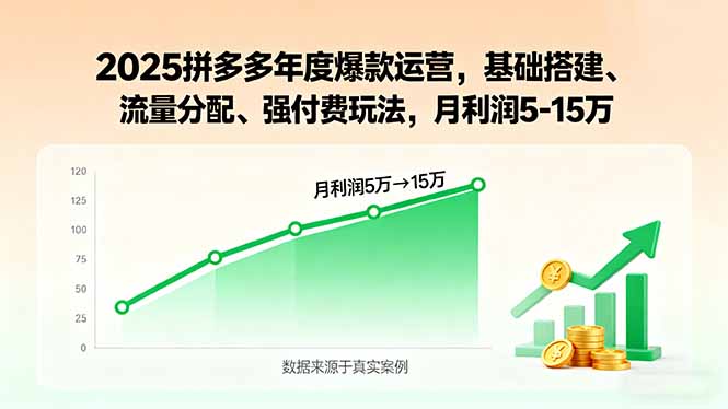 2025拼多多年度爆款运营，基础搭建、流量分配、强付费玩法，月利润5-15万 - 宏盛创业网-宏盛创业网