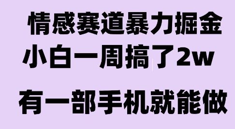 情感暴力掘金项目，新人操作一周挣了2W，长期稳定小白可做【揭秘】 - 宏盛创业网-宏盛创业网