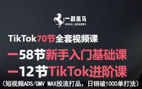 TikTok全套视频课，新手入门+进阶课，短视频ADS-GMV MAX投流打品，日销破1000单打法 - 宏盛创业网-宏盛创业网