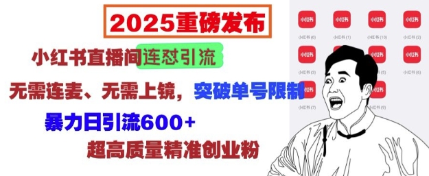 2025重磅发布：小红书直播间连怼引流，无需连麦、无需上镜，突破单号限制，暴力日引流600+ - 宏盛创业网-宏盛创业网