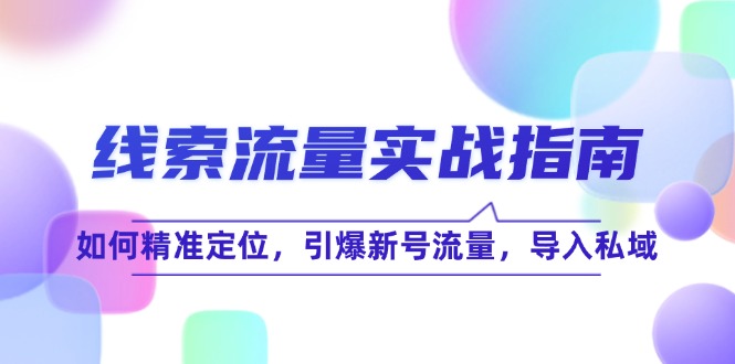 线 索 流 量-实战指南：如何精准定位，引爆新号流量，导入私域 - 宏盛创业网-宏盛创业网