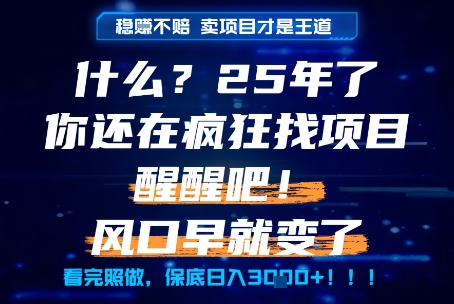 什么？25年你还在疯狂找项目做，醒醒吧，看完这些你全都懂了！【揭秘】 - 宏盛创业网-宏盛创业网