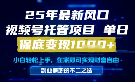 25年最新风口，视频号托管项目，单日保底变现1k+，手把手教学【揭秘】 - 宏盛创业网-宏盛创业网
