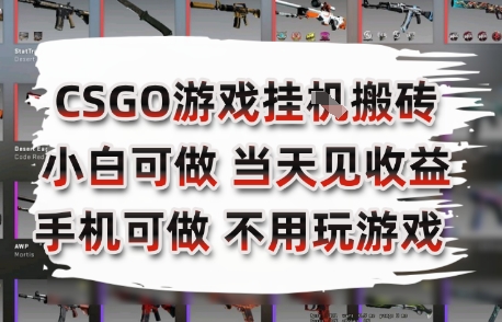 CSGO游戏挂G搬砖，小白纯手机即可操作，不用电脑打游戏，日入3张+，副业网创项目【揭秘】 - 宏盛创业网-宏盛创业网