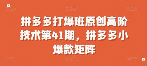 拼多多打爆班原创高阶技术第41期，拼多多小爆款矩阵 - 宏盛创业网-宏盛创业网