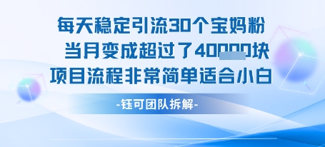 每天稳定引流30个人 当月变成超过了4个W项目流程非常简单适合小白 - 宏盛创业网-宏盛创业网