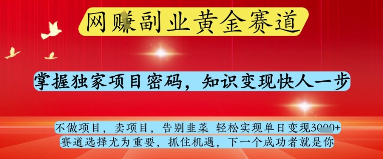 网创副业黄全赛道，掌握独家项目密码，知识变现快人一步，告别韭菜轻松实现单日变现1k+【揭秘】 - 宏盛创业网-宏盛创业网