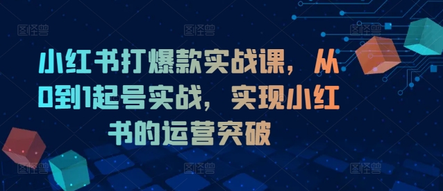 小红书打爆款实战课，从0到1起号实战，实现小红书的运营突破 - 宏盛创业网-宏盛创业网