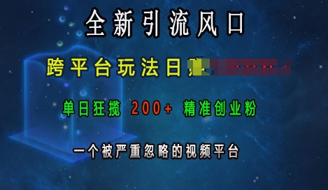 全新引流风口，跨平台玩法日入上k，单日狂揽200+精准创业粉，一个被严重忽略的视频平台 - 宏盛创业网-宏盛创业网