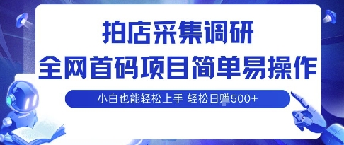 拍店采集调研，全网首码项目，简单易操作， 小白也能轻松上手，多账号操作，轻松日入5张【揭秘】 - 宏盛创业网-宏盛创业网