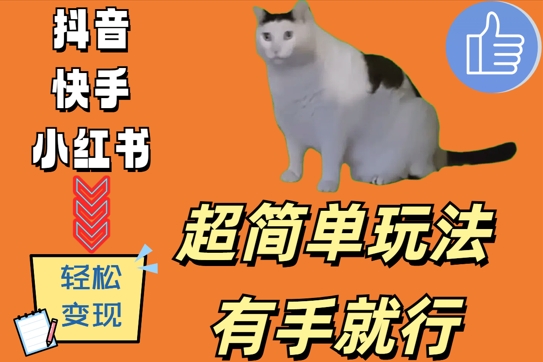 超简单玩法，有手就行，靠猫咪视频日入500+【揭秘】 - 宏盛创业网-宏盛创业网