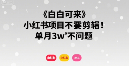 小白可来 小红书项目不需要剪辑 单月3w不是问题 - 宏盛创业网-宏盛创业网