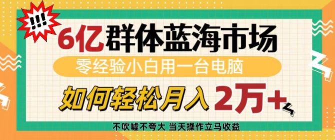 6亿群体蓝海市场，零经验小白用一台电脑，如何轻松月入过w【揭秘】 - 宏盛创业网-宏盛创业网
