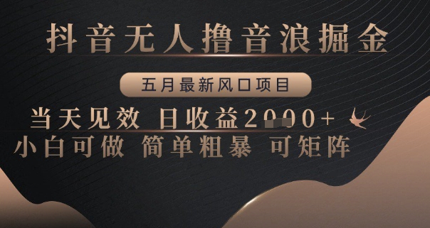 抖音无人撸音浪掘金，五月最新风口项目，当天见效，日收益多张，小白可做简单粗暴可矩阵【揭秘】 - 宏盛创业网-宏盛创业网