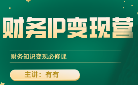 有有老师·财务IP变现营，财务知识变现必修课 - 宏盛创业网-宏盛创业网