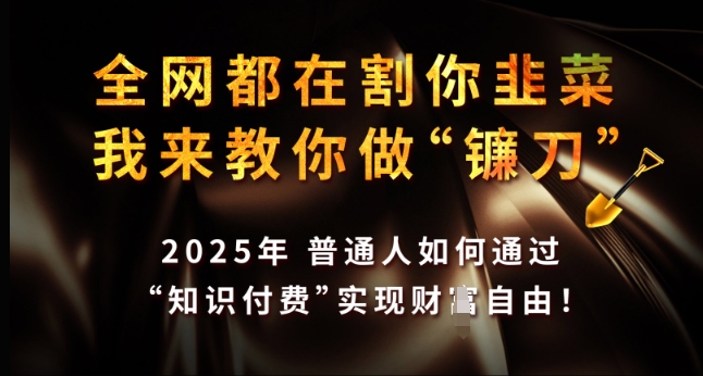 全网都在割你韭菜，我来教你做镰刀，2025年普通人如何通过 知识付费 实现财F自由【揭秘】 - 宏盛创业网-宏盛创业网