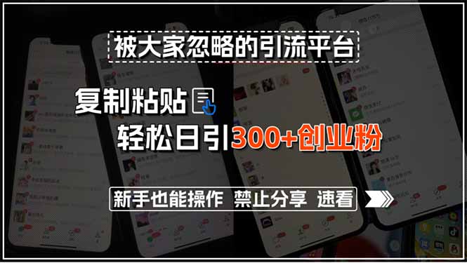 被大家忽略的引流平台，复制粘贴轻松日引300+创业粉，新手也能操作，禁... - 宏盛创业网-宏盛创业网