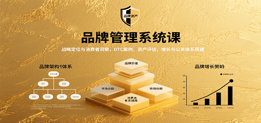 品牌管理系统课：战略定位与消费者洞察，DTC案例、资产评估，增长与公关体系搭建 - 宏盛创业网-宏盛创业网