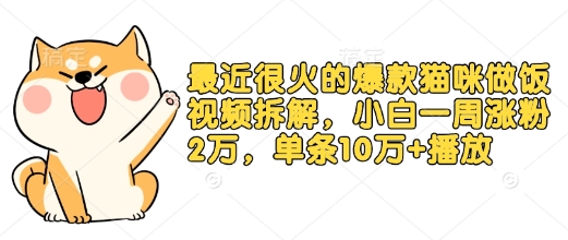 最近很火的爆款猫咪做饭视频拆解，小白一周涨粉2万，单条10万+播放(附保姆级教程) - 宏盛创业网-宏盛创业网