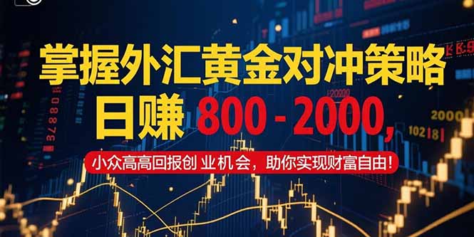 掌握外汇黄金对冲策略，日赚 800 - 2000，小众高回报创业机会，助你实... - 宏盛创业网-宏盛创业网