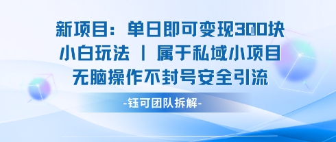 新项目单日即可变现3张的小白玩法无脑操作不封号安全引流 - 宏盛创业网-宏盛创业网