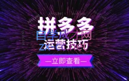 力辛电商·拼多多强付费店群玩法 - 宏盛创业网-宏盛创业网