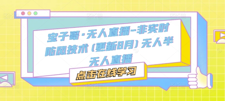 宝子哥·无人直播-非实时防风技术(更新8月)无人半无人直播 - 宏盛创业网-宏盛创业网
