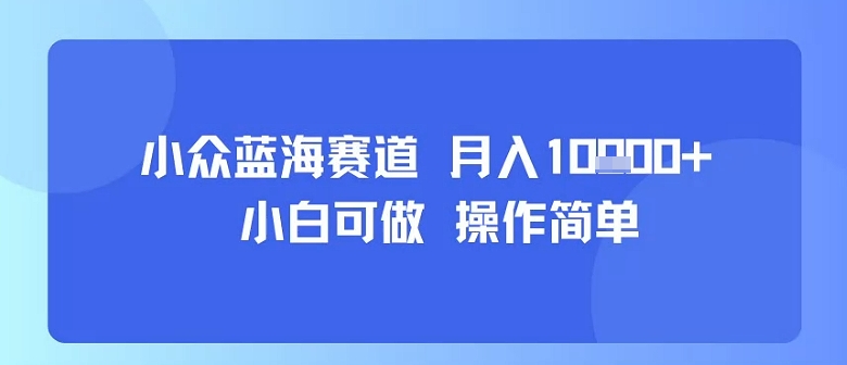 小众蓝海赛道，小白可做，操作简单，每天30分钟，月入1W+ - 宏盛创业网-宏盛创业网