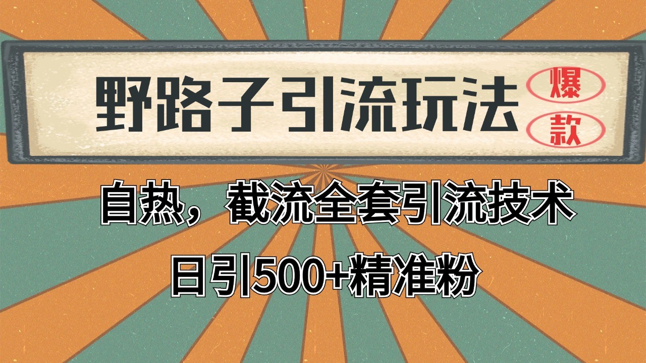 抖音小红书视频号全平台引流打法，全自动引流日引2000+精准客户 - 宏盛创业网-宏盛创业网