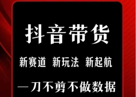 抖音短视频一刀不剪带货，不剪辑，不直播，每天发个视频，等着出单获取带货佣金 - 宏盛创业网-宏盛创业网