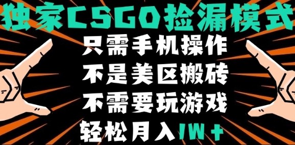 CSGO自动捡漏项目，最新独家玩法，不是美区搬砖，不需要了解和玩游戏，新手小白轻松月入1W+【揭秘】 - 宏盛创业网-宏盛创业网