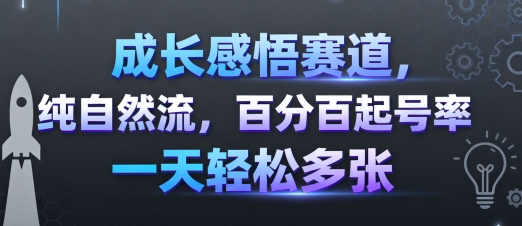 成长感悟赛道，纯自然流，百分百起号率 一天轻松多张 - 宏盛创业网-宏盛创业网