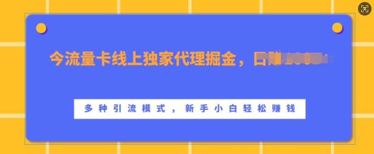 流量卡线上独家代理掘金，日入1k+ ，多种引流模式，新手小白轻松上手【揭秘】 - 宏盛创业网-宏盛创业网