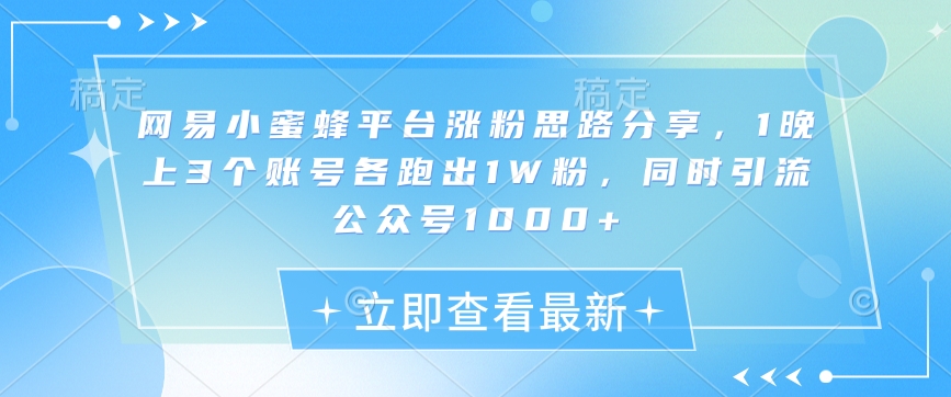 网易小蜜蜂平台涨粉思路分享，1晚上3个账号各跑出1W粉，同时引流公众号1000+ - 宏盛创业网-宏盛创业网