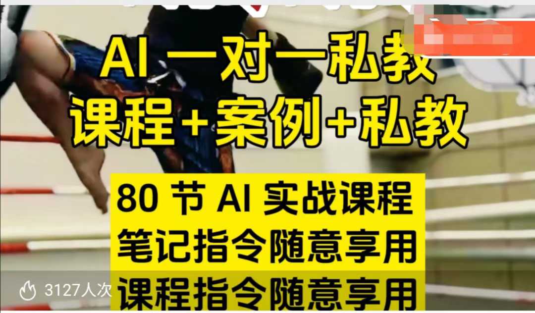 AI指令实战课，课程+案例，80节AI实战课程，笔记指令随意享用，课程指令随意享用(更新7月) - 宏盛创业网-宏盛创业网