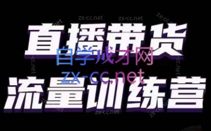 婉婉·直播带货课程系列合集(更新8月) - 宏盛创业网-宏盛创业网