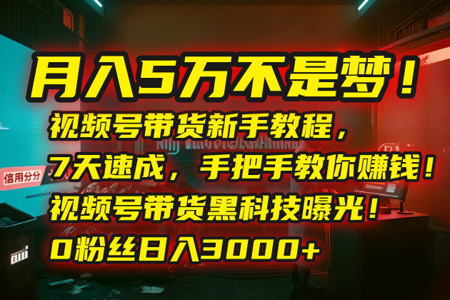 月入5万不是梦！视频号带货新手教程，7天速成，手把手教你赚钱！视频号... - 宏盛创业网-宏盛创业网