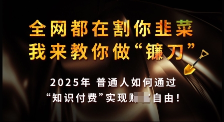 知识付费如何做到月入过W+，2025我来教你做“镰刀”【揭秘】 - 宏盛创业网-宏盛创业网