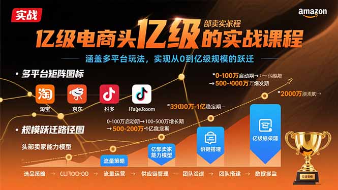 亿级电商头部卖家的实战课程：涵盖多平台玩法，实现从0到亿级规模的跃迁 - 宏盛创业网-宏盛创业网