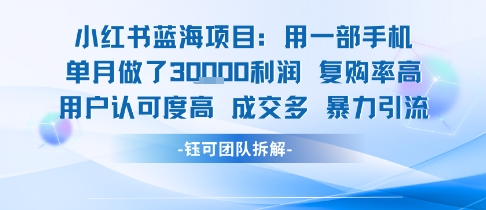 小红书蓝海项目，一部手机单月做了3W利润，小白也能月入过1W用户认可度高成交多 - 宏盛创业网-宏盛创业网