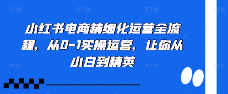 小红书电商精细化运营全流程，从0-1实操运营，让你从小白到精英 - 宏盛创业网-宏盛创业网