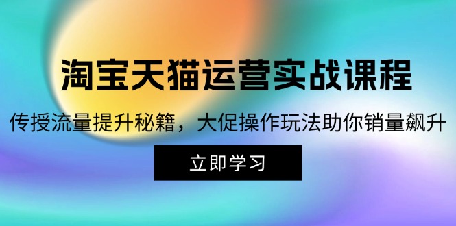 淘宝&天猫运营实战课程，传授流量提升秘籍，大促操作玩法助你销量飙升 - 宏盛创业网-宏盛创业网